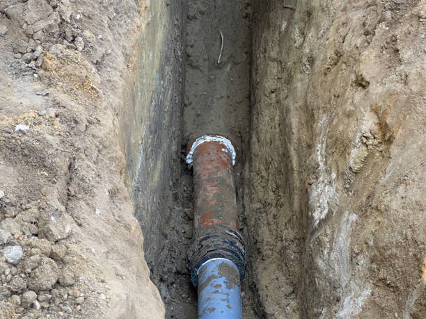 Best Professional water damage repair  in Tonkawa, OK