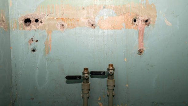 Best Flood damage cleanup  in Tonkawa, OK
